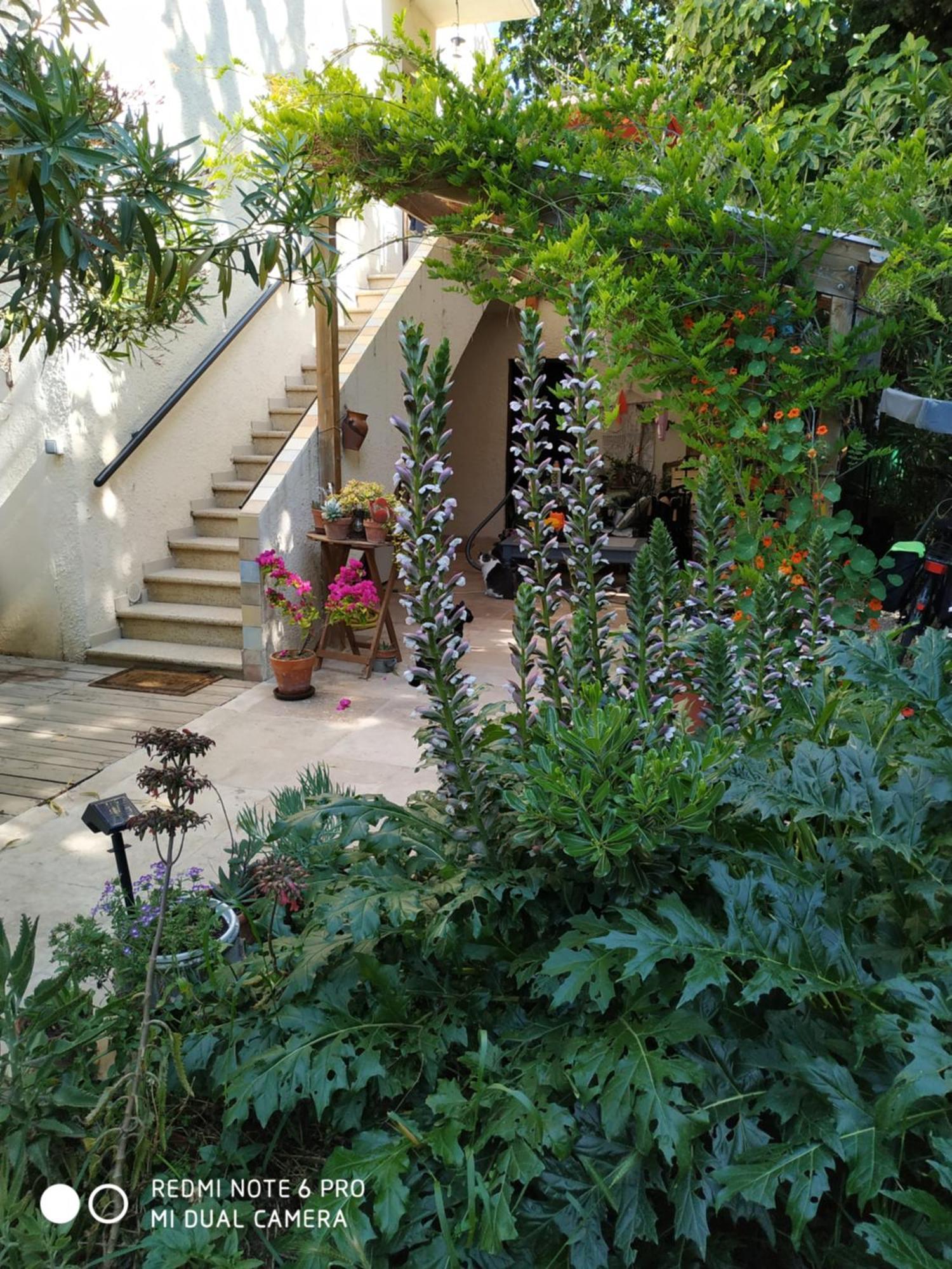En Ville Avec Un Air De Campagne Arles Exteriér fotografie
